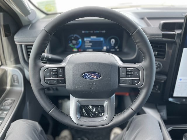 2025 Ford F-150 Lightning photo 21