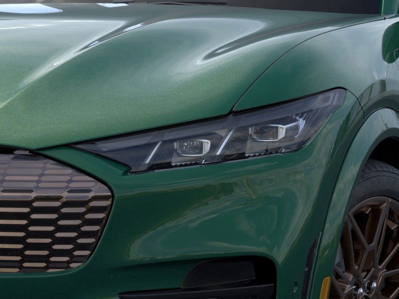 2025 Ford Mustang Mach-E GT photo 10
