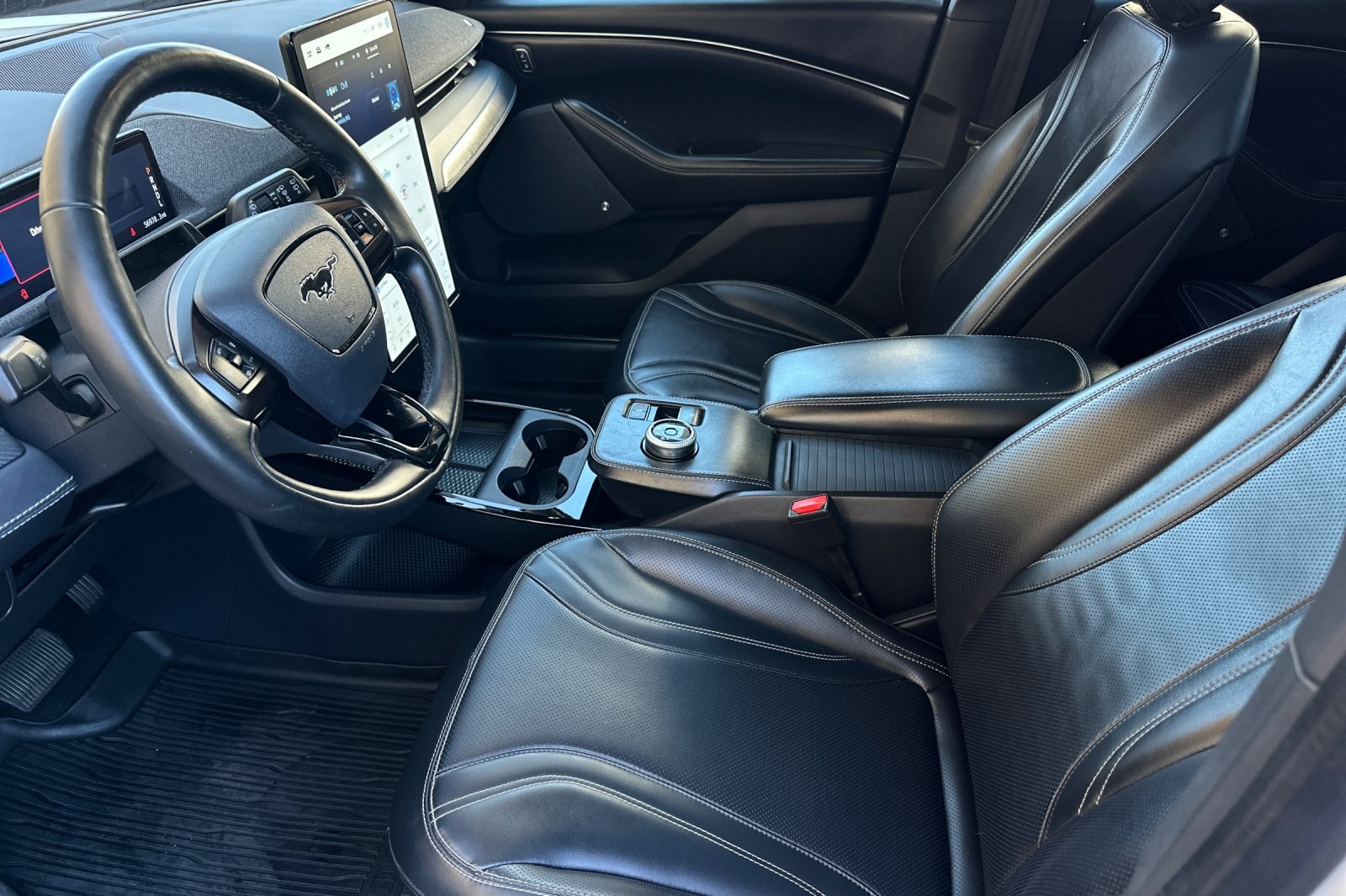2021 Ford Mustang Mach-E Premium photo 9