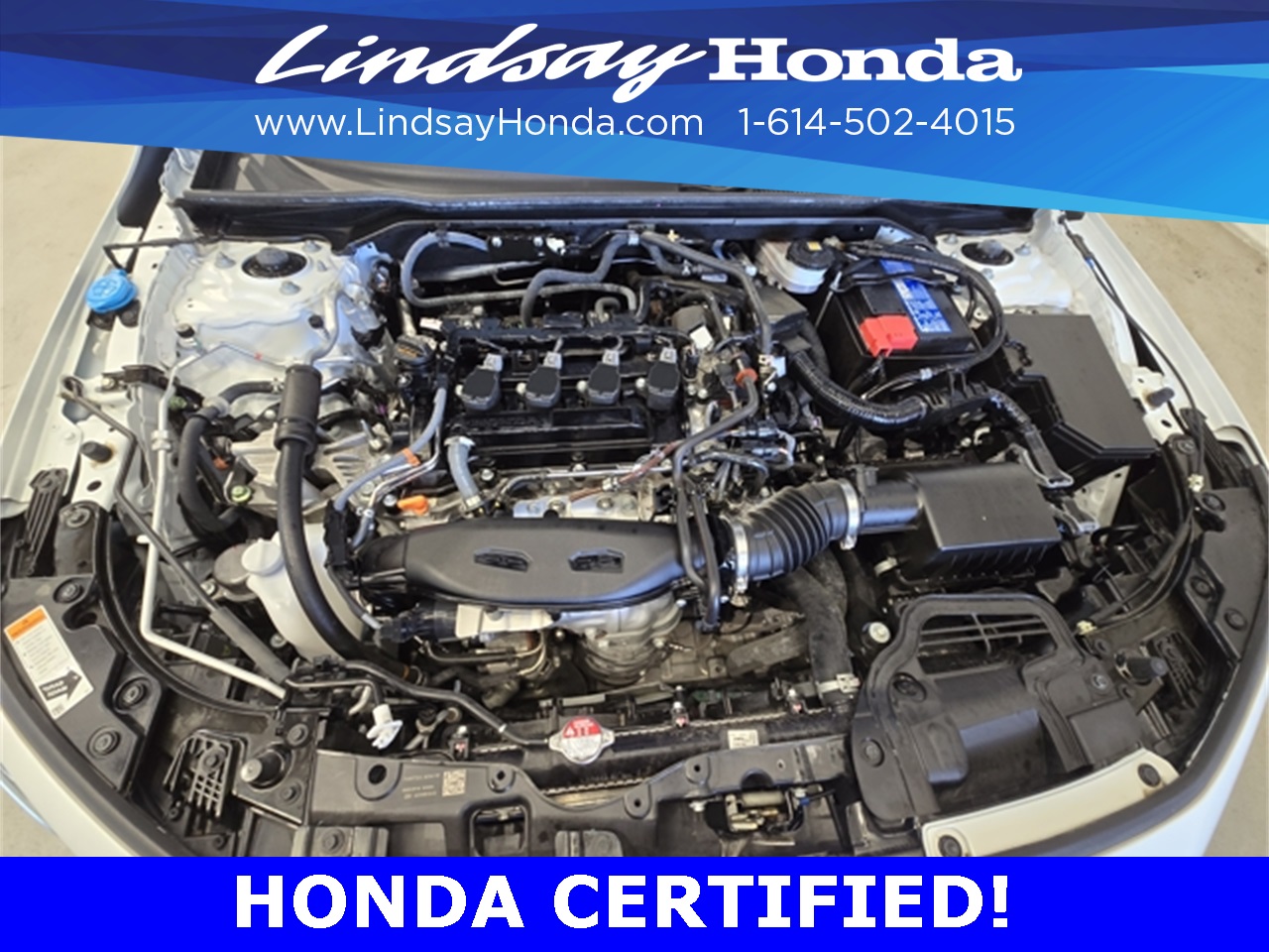 2024 Honda Civic Hatchback EX-L photo 14