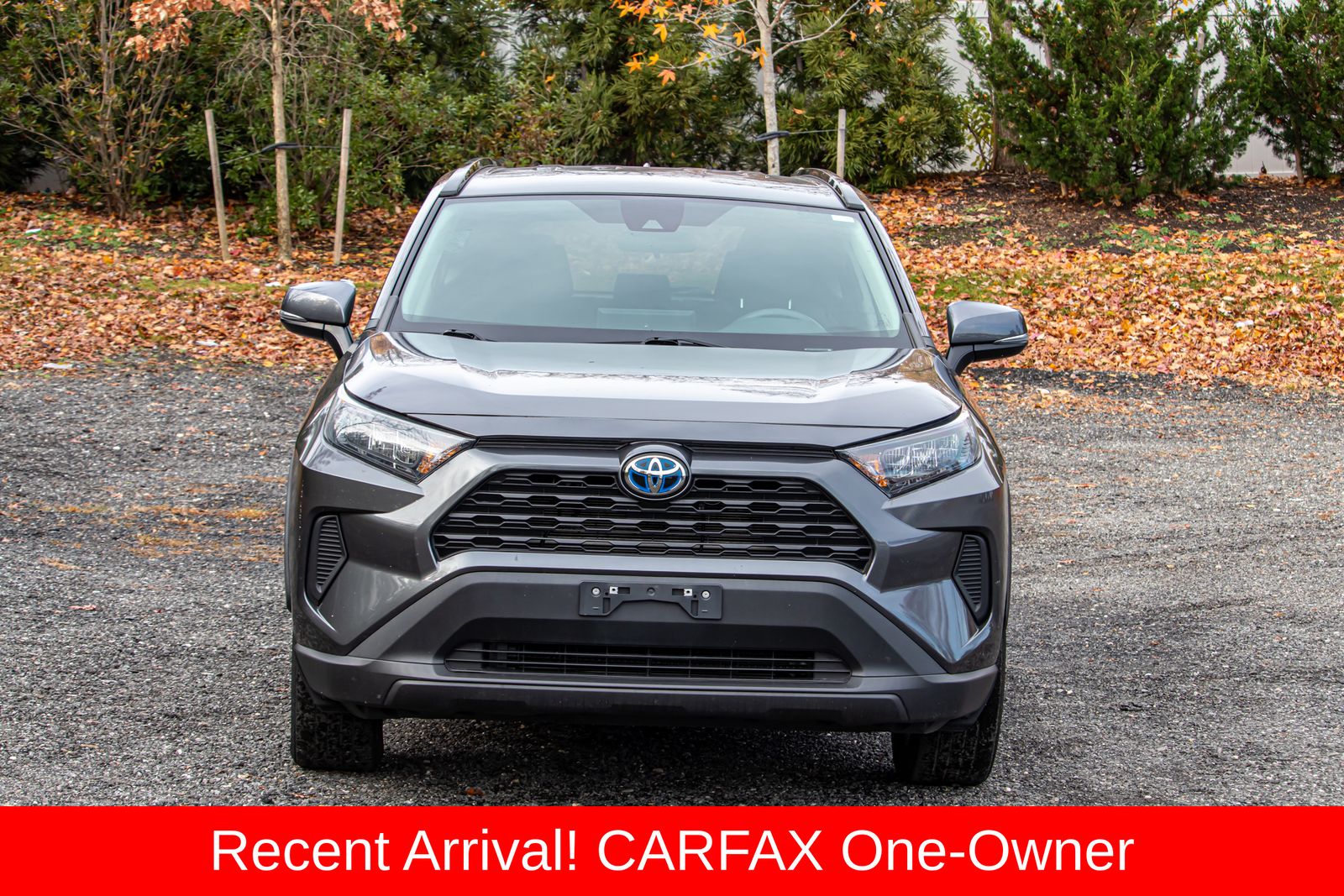 2021 Toyota RAV4 LE photo 2