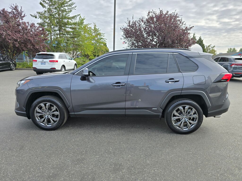 2023 Toyota RAV4 Hybrid XLE Premium photo 3