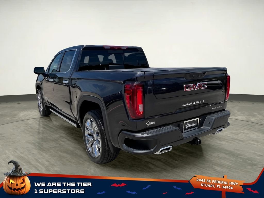 2025 Gmc Sierra 1500 Denali photo 3