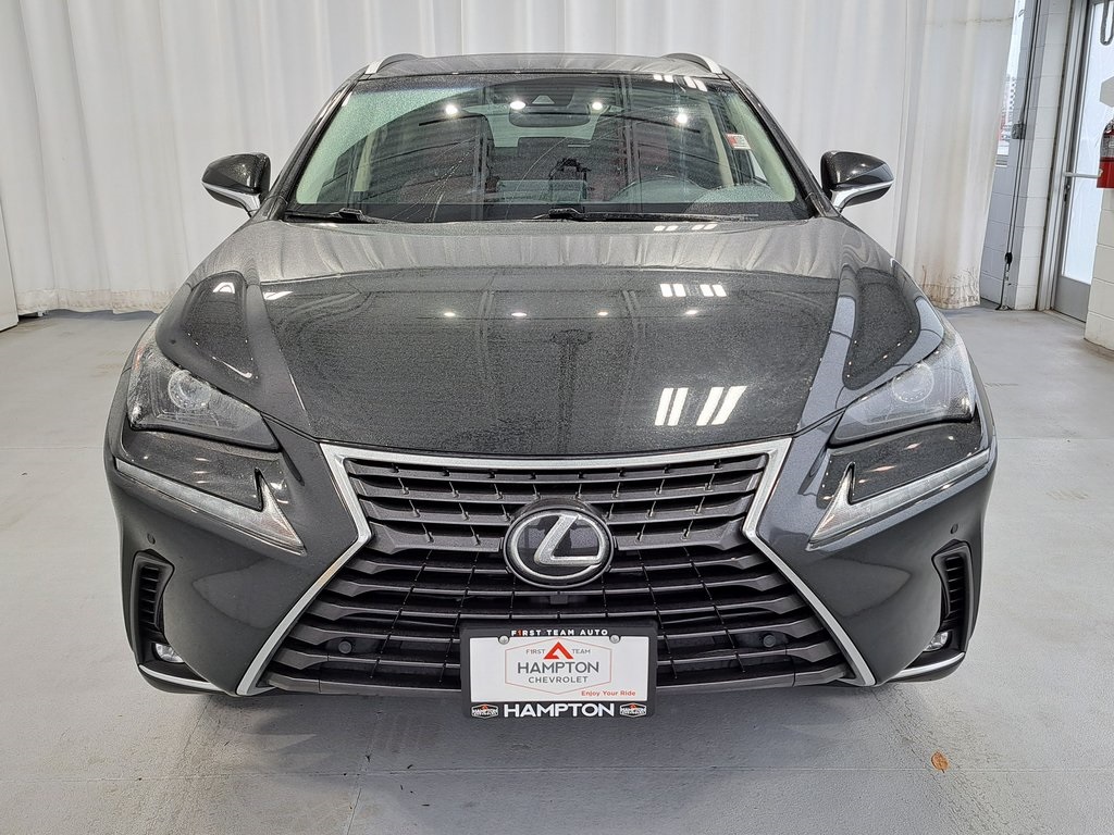 2019 Lexus NX 300 Luxury photo 3