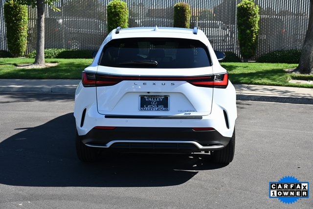 2025 Lexus NX 450h+ F SPORT photo 5
