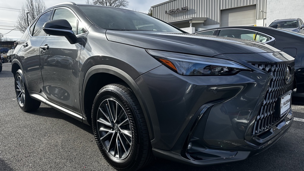 2025 Lexus NX 350's photo