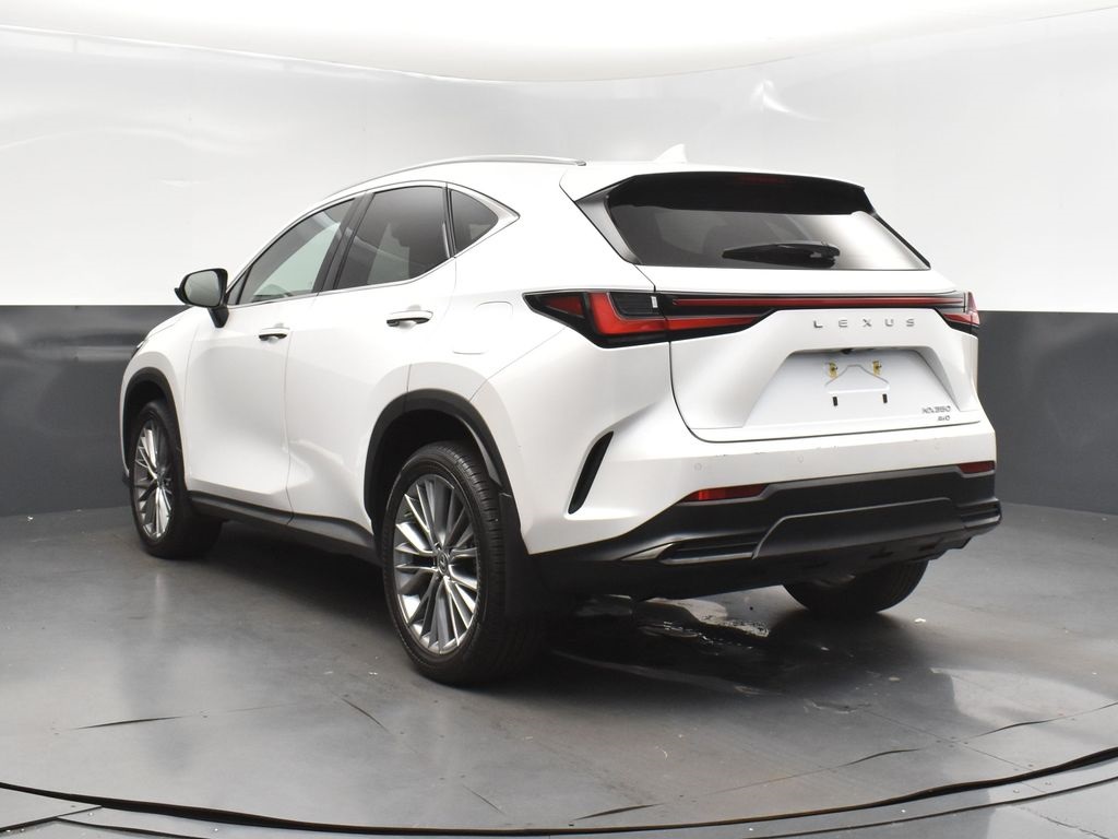 2023 Lexus NX 350 Luxury photo 5