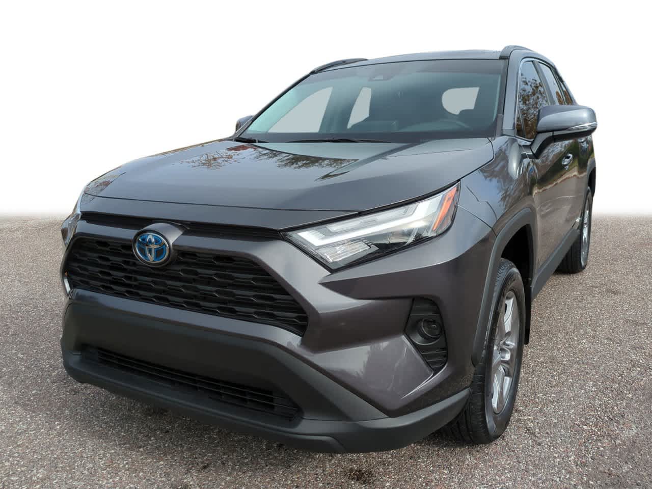 2024 Toyota RAV4 XLE's photo
