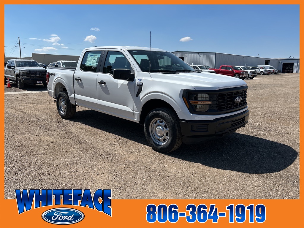 2025 Ford F-150 XL photo 9