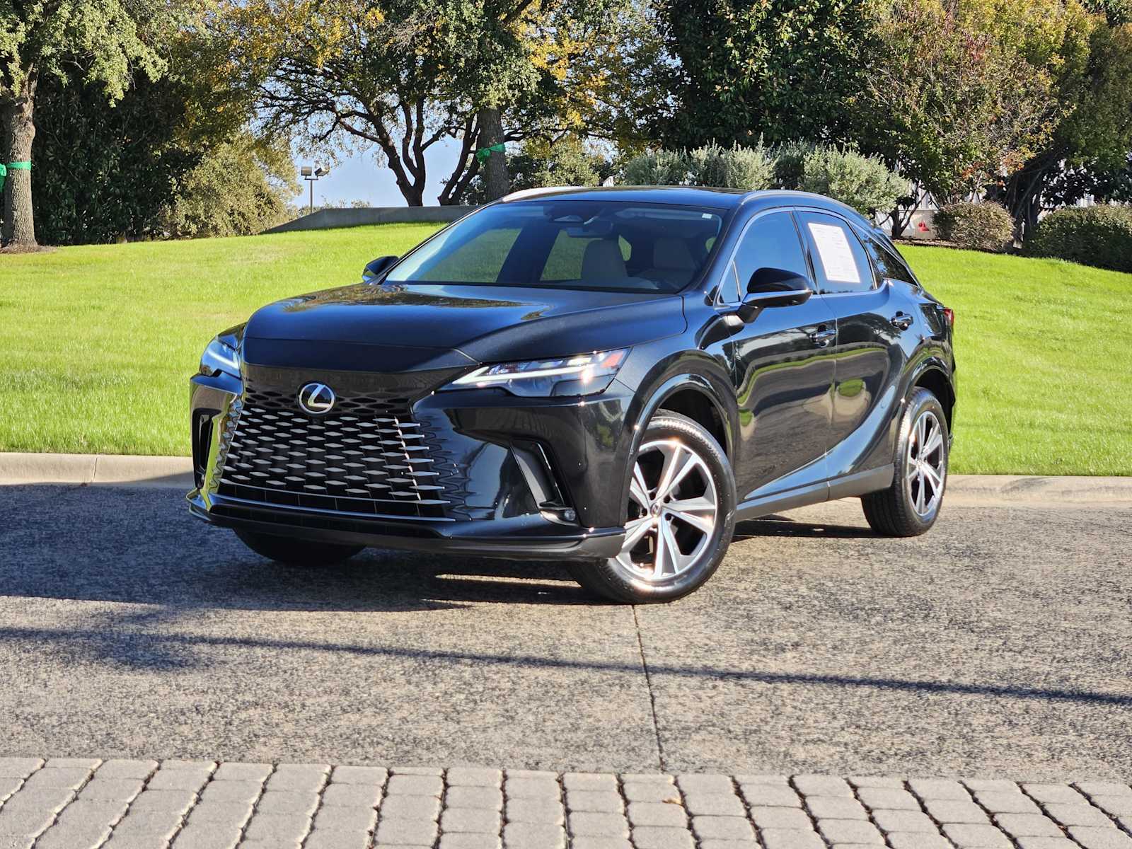 2023 Lexus RX 350's photo