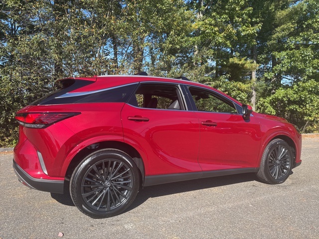 2025 Lexus RX 350 Premium photo 3