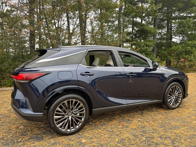 2025 Lexus RX 450h+ Luxury photo 2