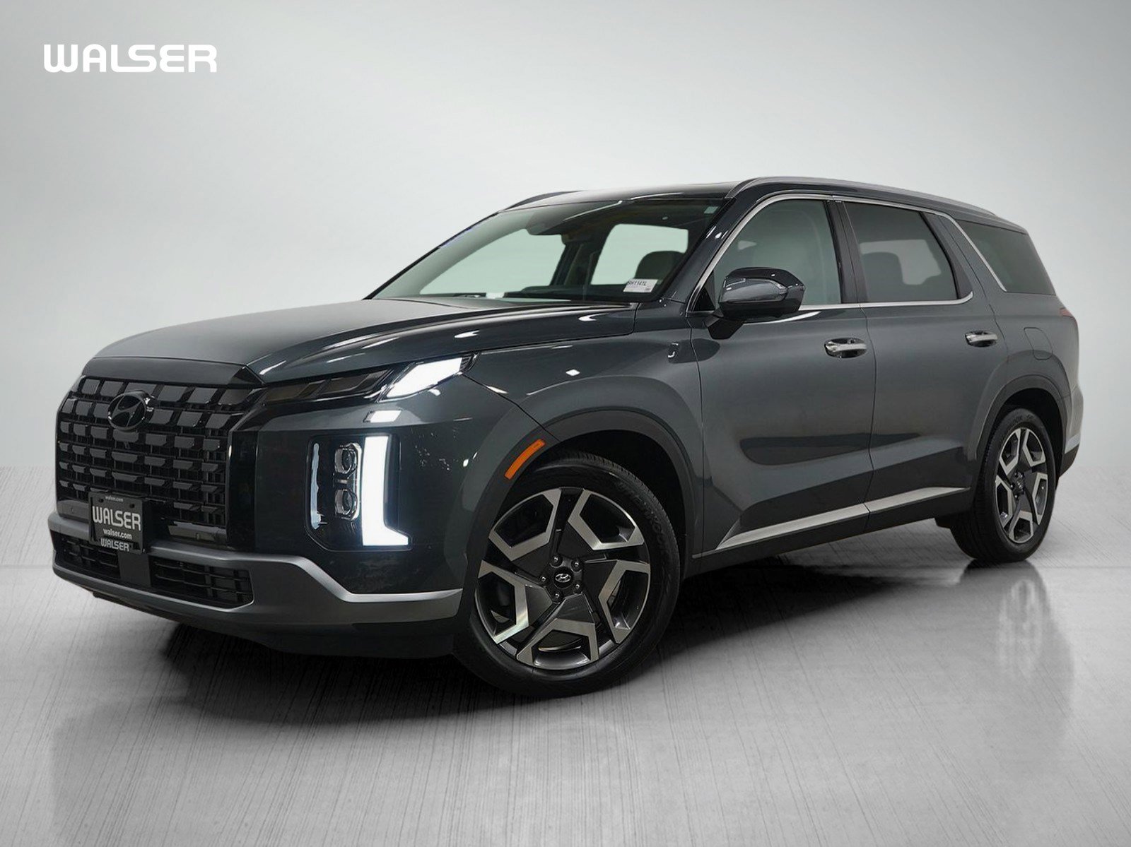 2024 Hyundai Palisade Limited's photo