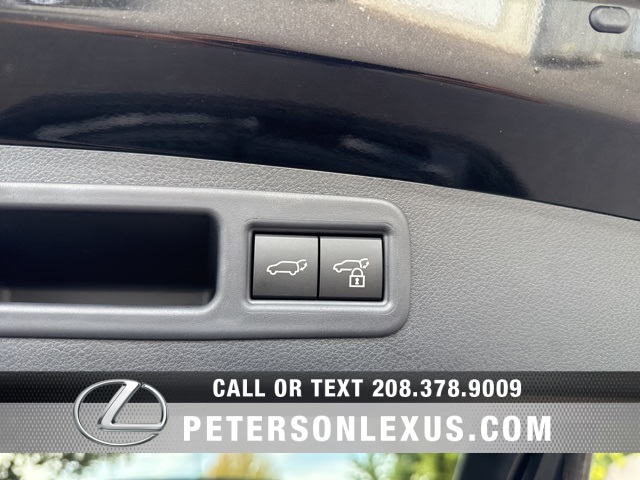 2025 Lexus RX 350 Premium photo 18