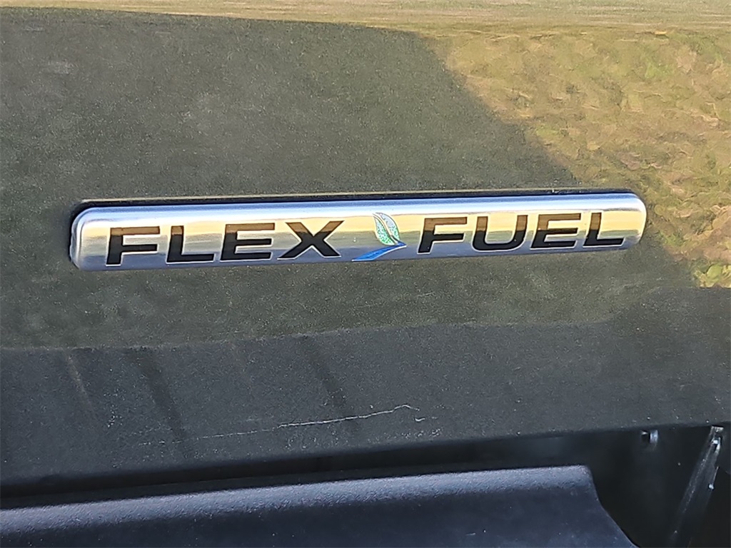 2015 Ford F-150 Platinum photo 18