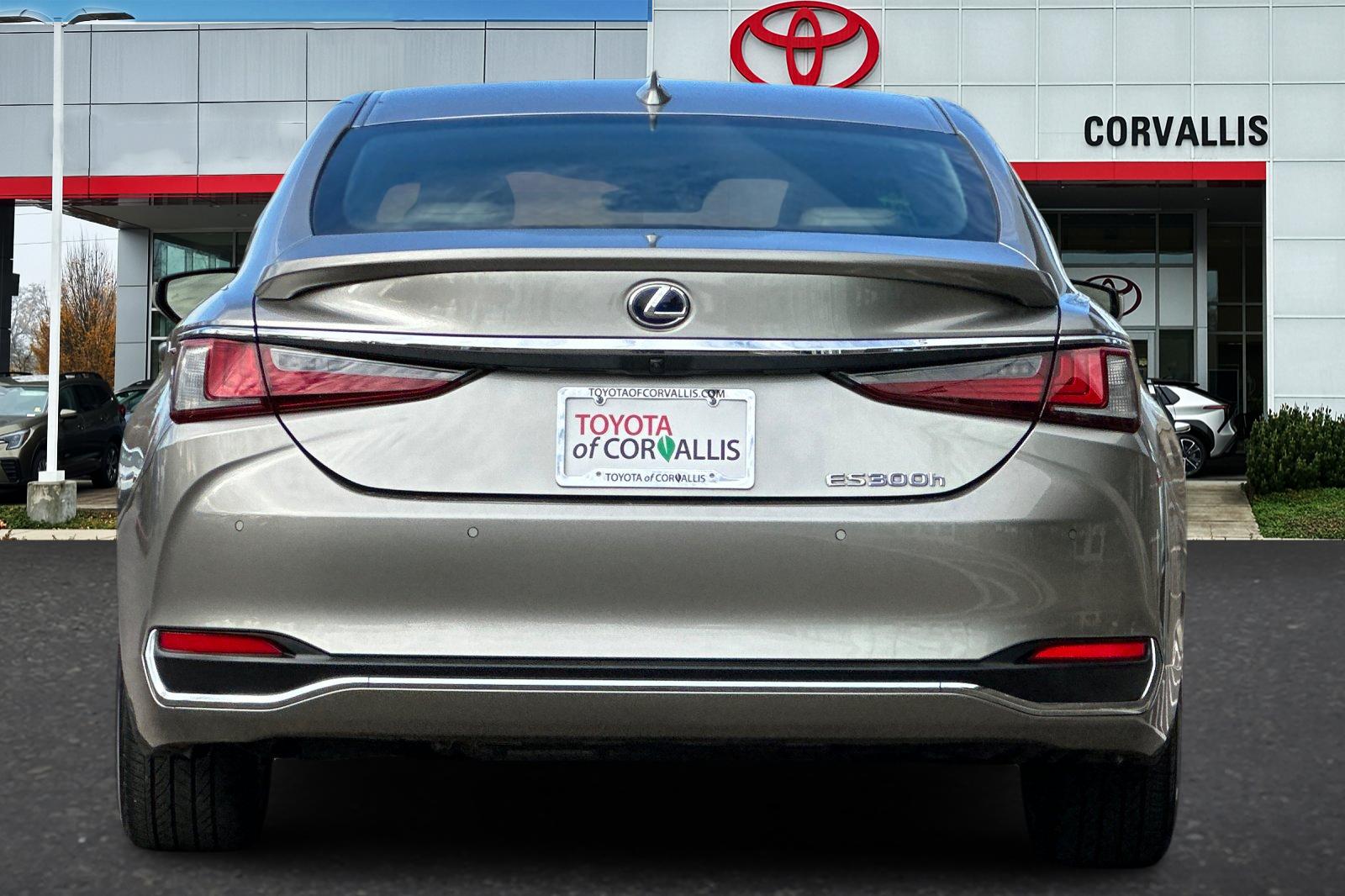 2020 Lexus ES 300h Luxury photo 4