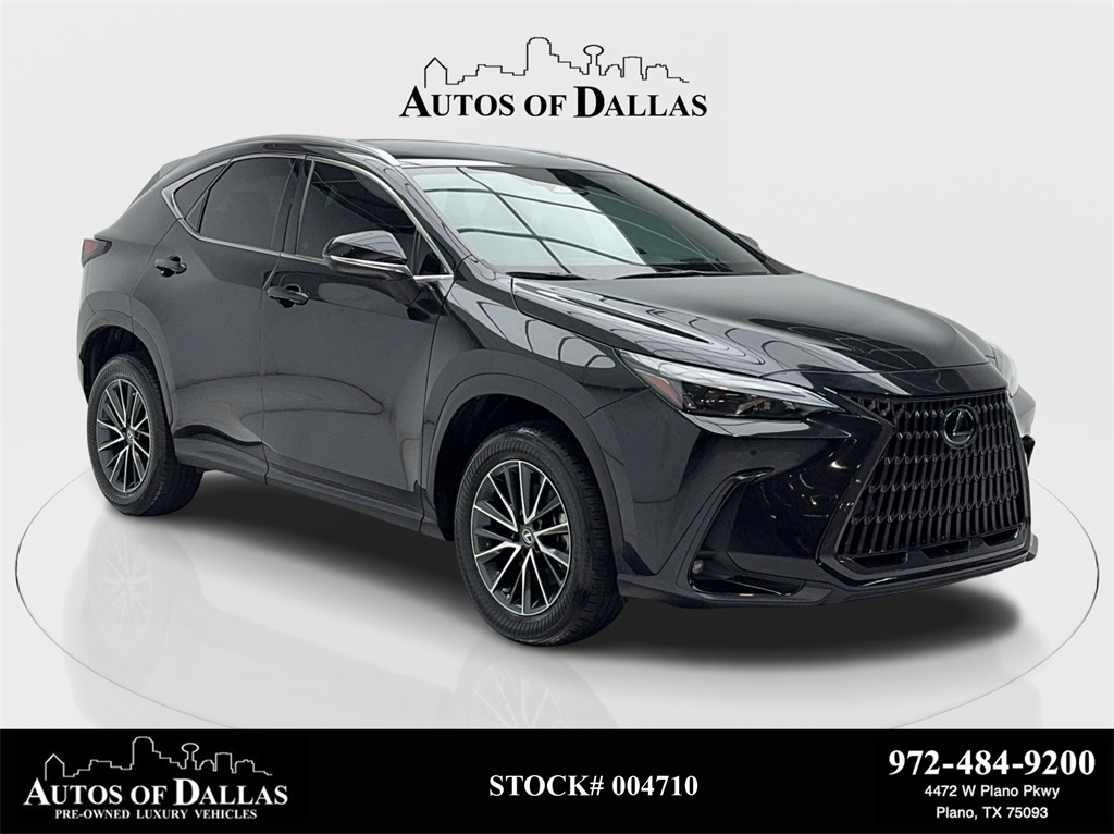2023 Lexus NX 250's photo
