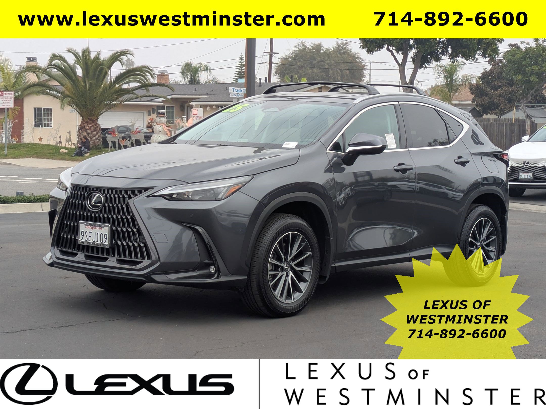 2025 Lexus NX 250's photo