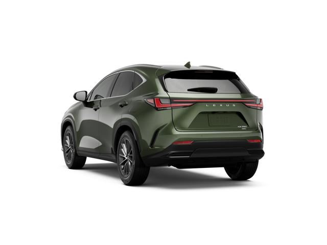 2026 Lexus NX 350 photo 3
