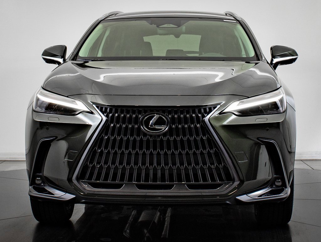 2025 Lexus NX 350 Luxury photo 2
