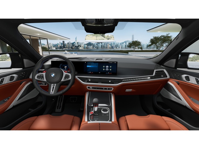 2026 Bmw X6 photo 10