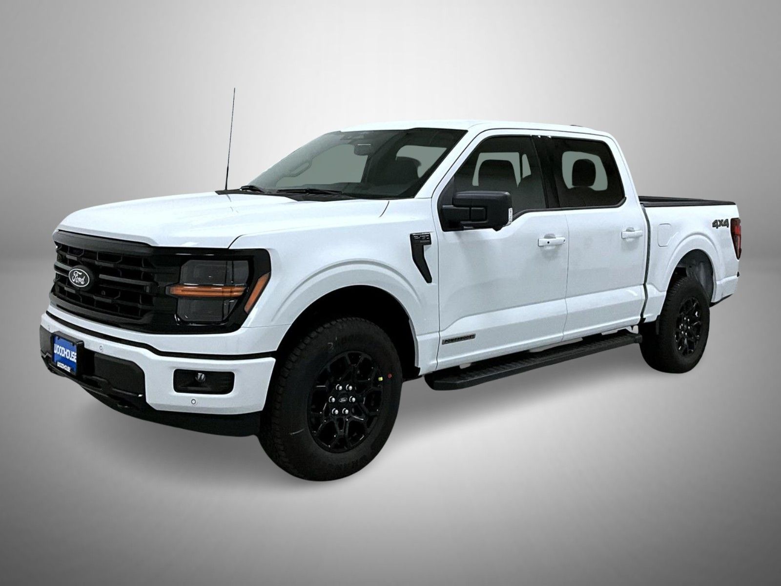 2025 Ford F-150 XLT's photo