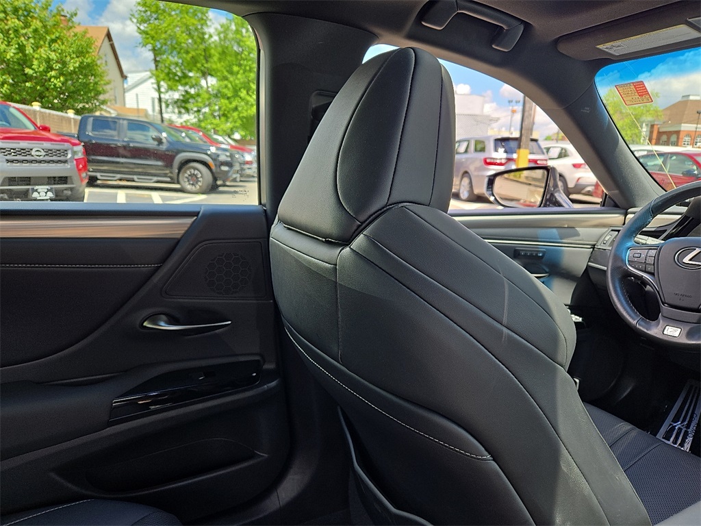 2022 Lexus ES 350 F SPORT photo 14