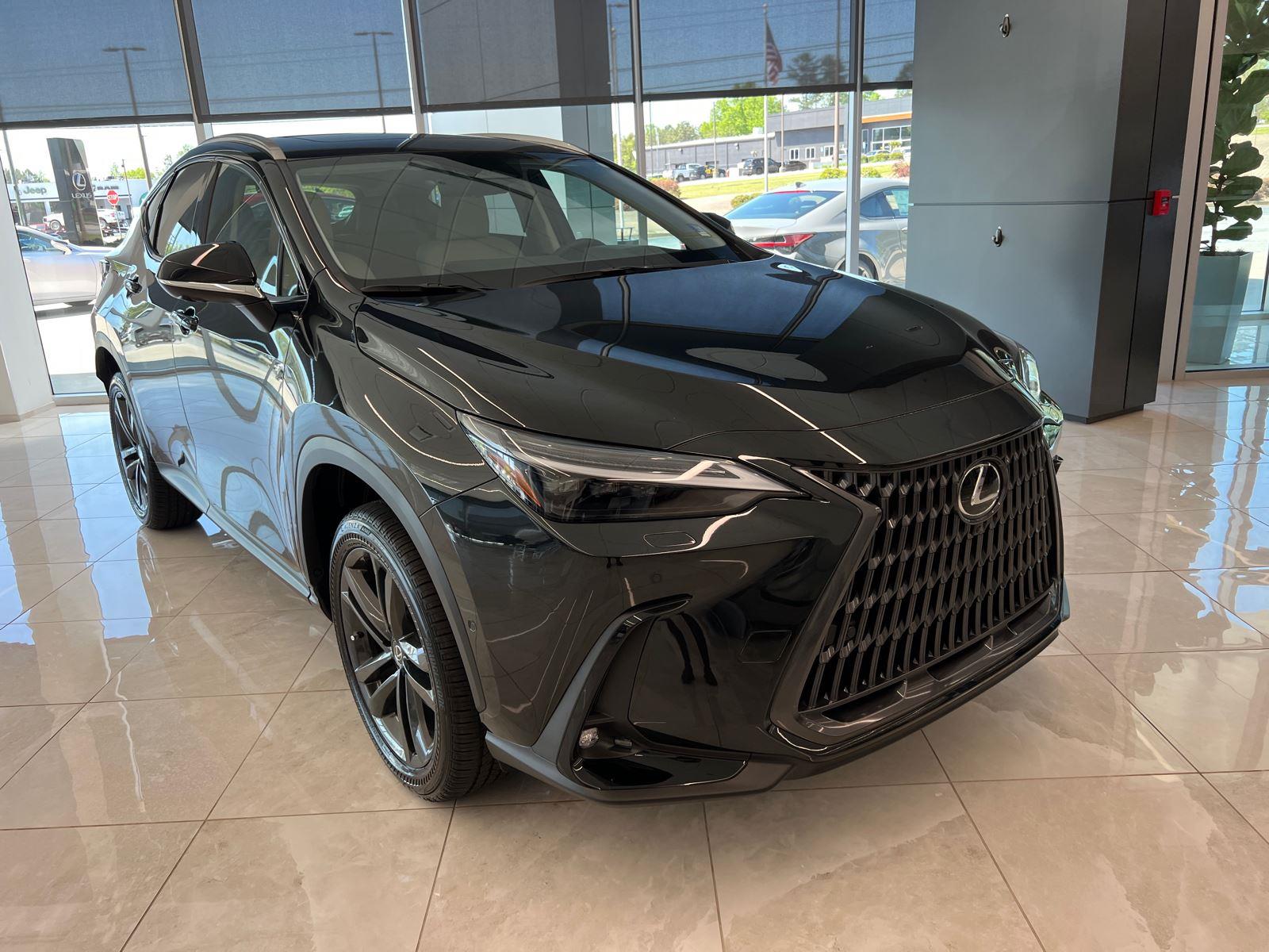 2025 Lexus NX Luxury AWD photo 4