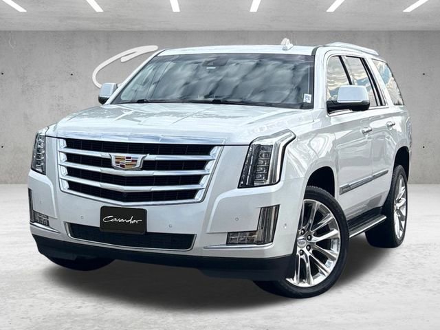 2019 Cadillac Escalade Luxury's photo