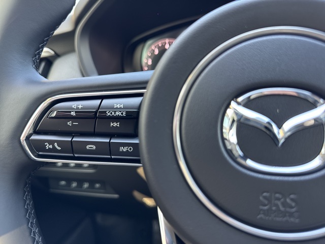 2025 Mazda CX-90 3.3 Turbo Premium S photo 19