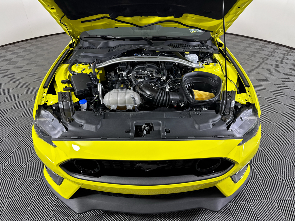 2021 Ford Mustang Mach 1 photo 3