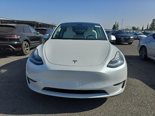 Used 2020 Tesla Model Y Long Range with VIN 5YJYGDEE2LF056215 for sale in Northfield, Minnesota
