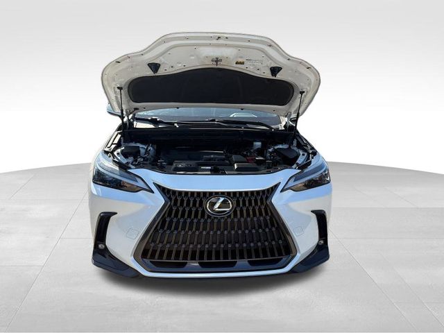 2022 Lexus NX 250 photo 31