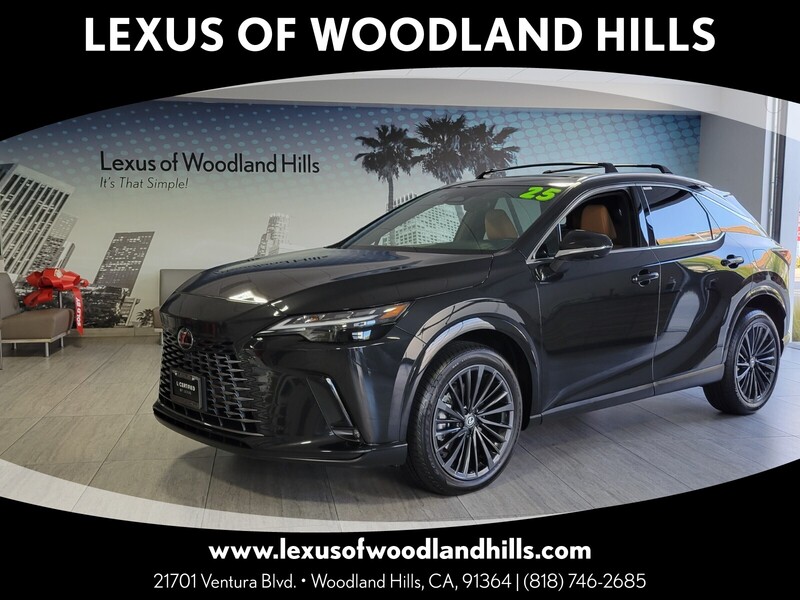 2024 Lexus RX 350's photo