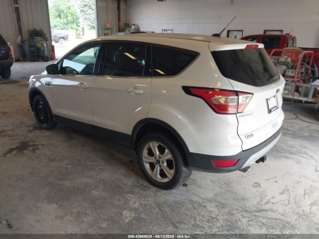 2017 Ford Escape SE photo 2
