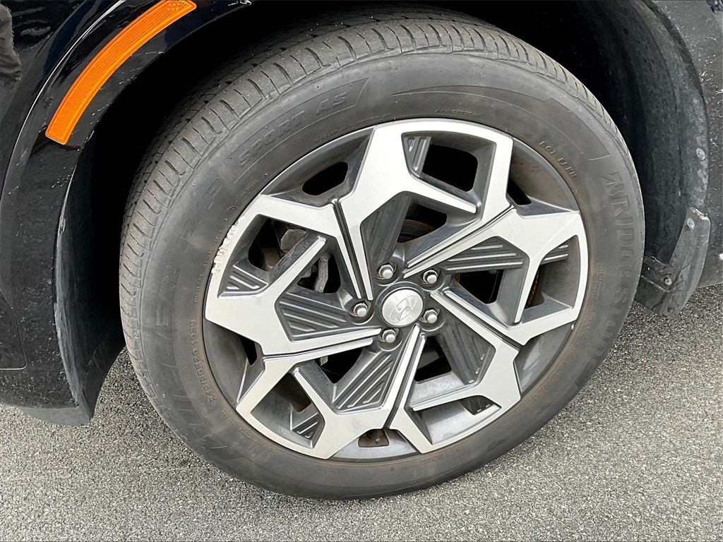 2021 Hyundai Palisade Calligraphy photo 4