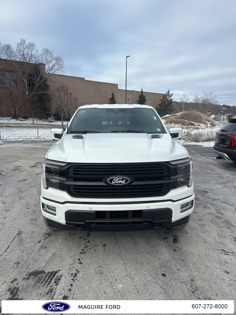 2025 Ford F-150 Platinum's photo