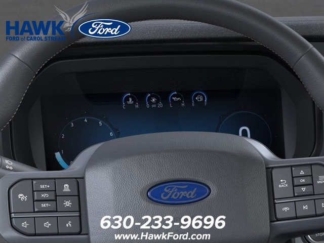2025 FORD F-150 - Image 13