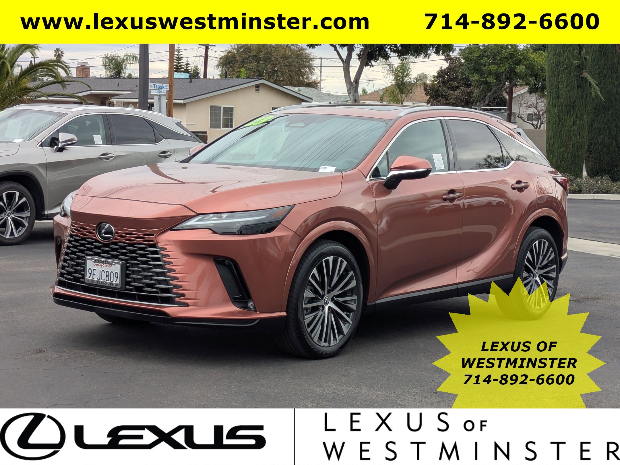 2023 Lexus RX 350's photo