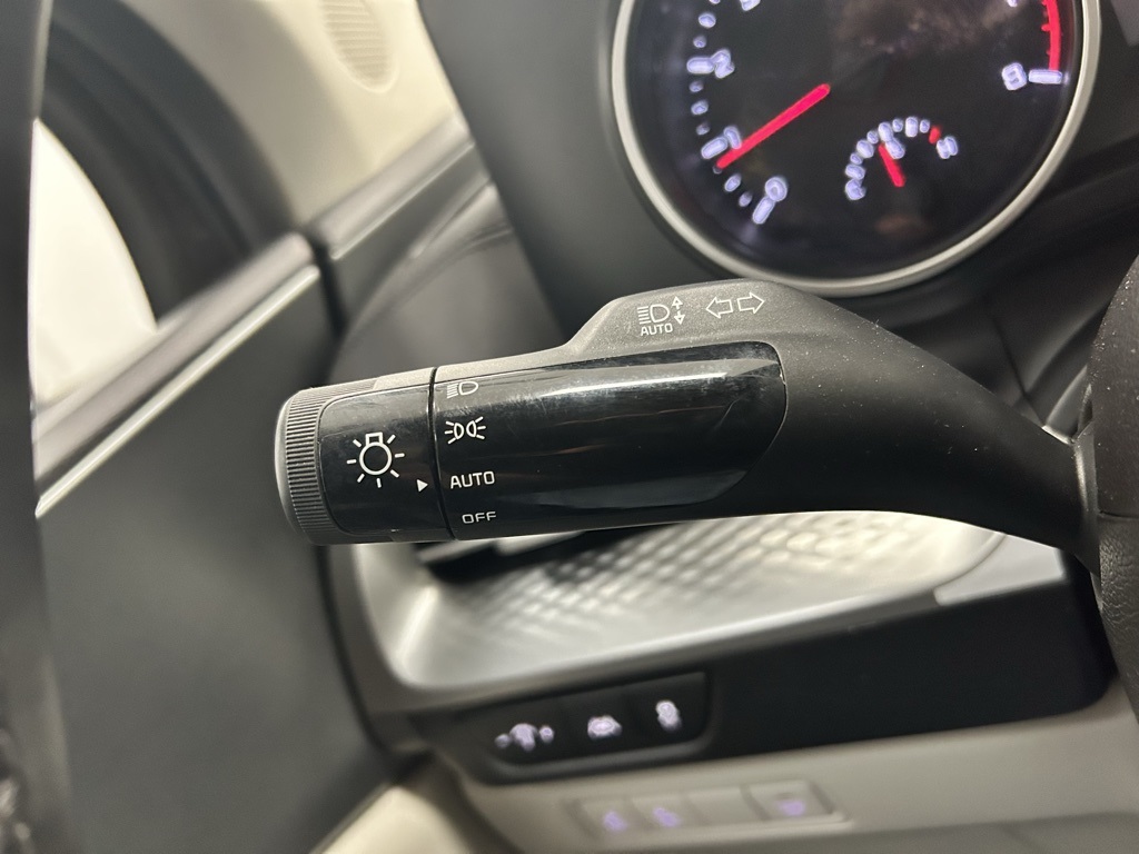 2024 Kia Carnival LX photo 14