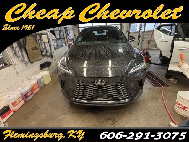 2024 Lexus RX 350's photo