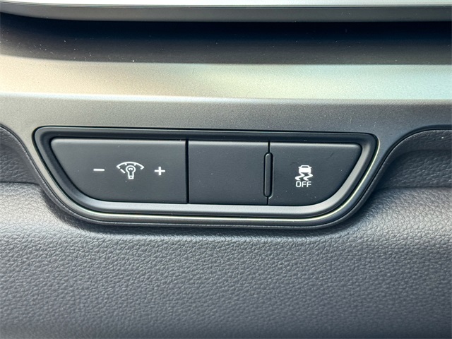 2026 Kia Carnival SX Prestige photo 38