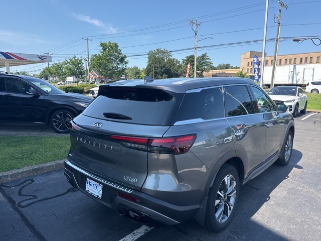2023 Infiniti QX60 Luxe photo 3