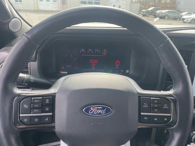 2024 Ford F-150 Platinum photo 25