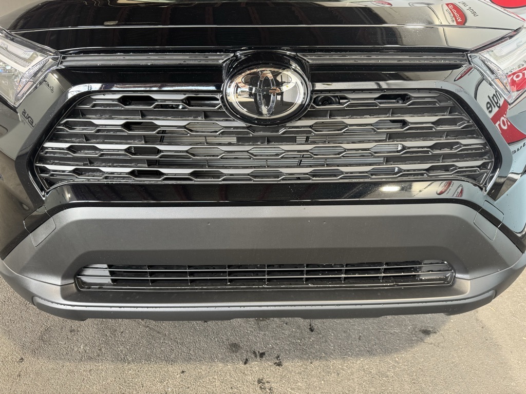 2025 Toyota RAV4 LE photo 10