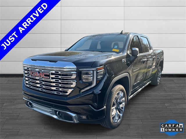 2024 Gmc Sierra 1500 Denali photo 3