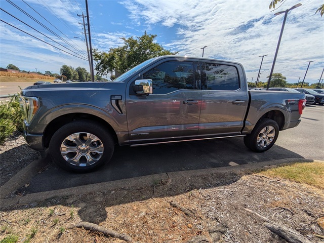 2023 Ford F-150 Platinum photo 2