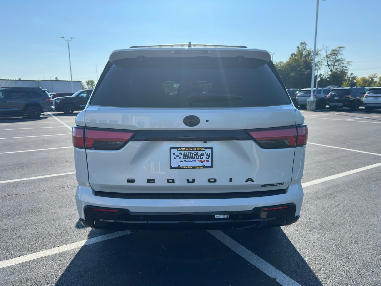 2025 Toyota Sequoia Platinum photo 4
