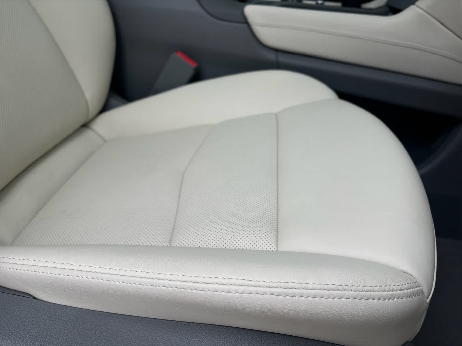 2024 Cadillac XT5 Premium Luxury photo 11