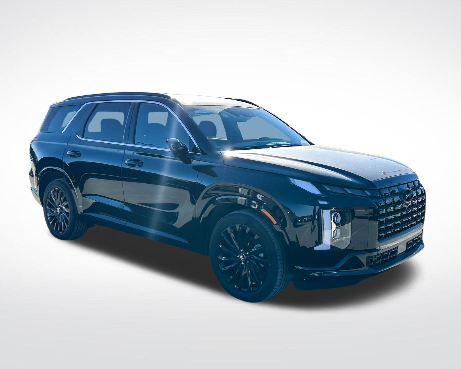2025 Hyundai Palisade Calligraphy photo 2